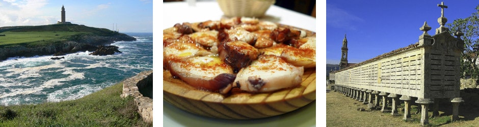 <p>  Surf en galicia</p> 