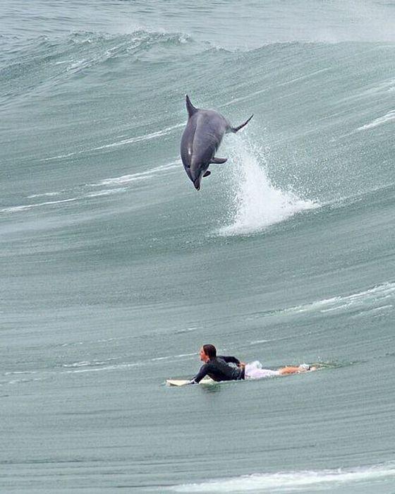 Consejos Para Que Tu Surf Sea Más Ecológico