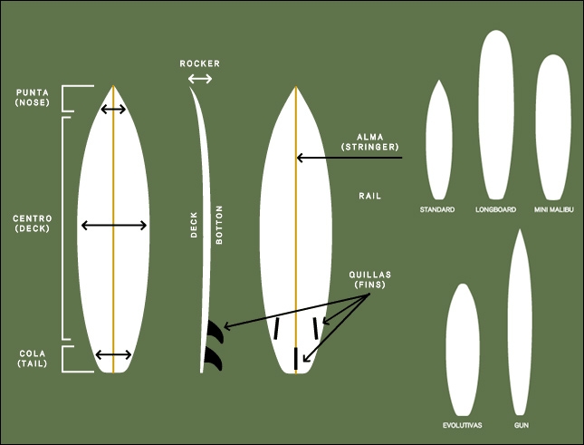 Funcionar tarifa Red Las Diferentes Partes De La Tabla De Surf - BLOG