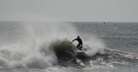 Delfines y Longboards