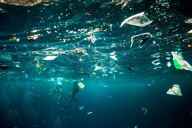 Los Plásticos No Sólo Ensucian Los Grandes Océanos