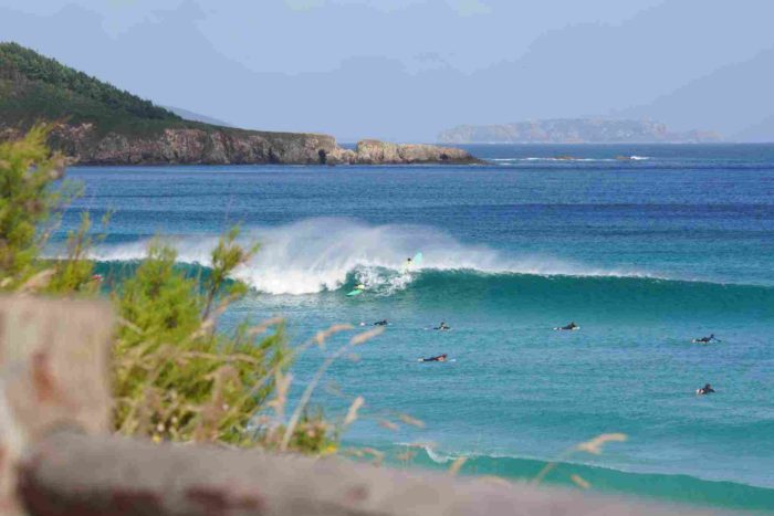 Cumpleaños Feliz En Artsurfcamp