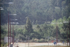 Camp 7