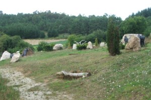 Camp 6