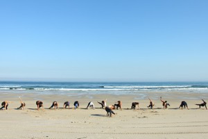 Camp 10