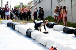 Camp 11