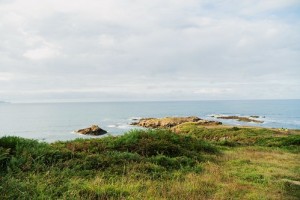Camp 12