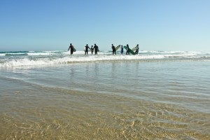Camp 5