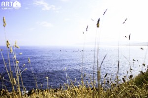 Camp 12