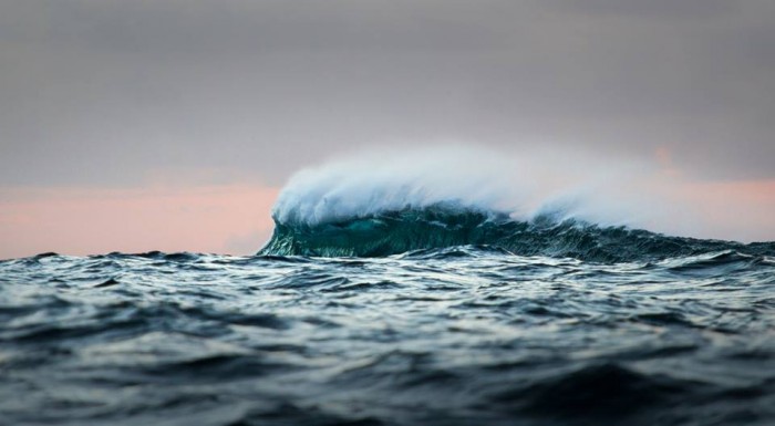 10411033_853264018039093_8796223926941394159_n