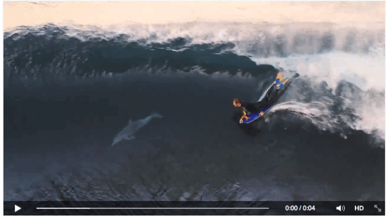 Los primeros surfistas fueron los delfines