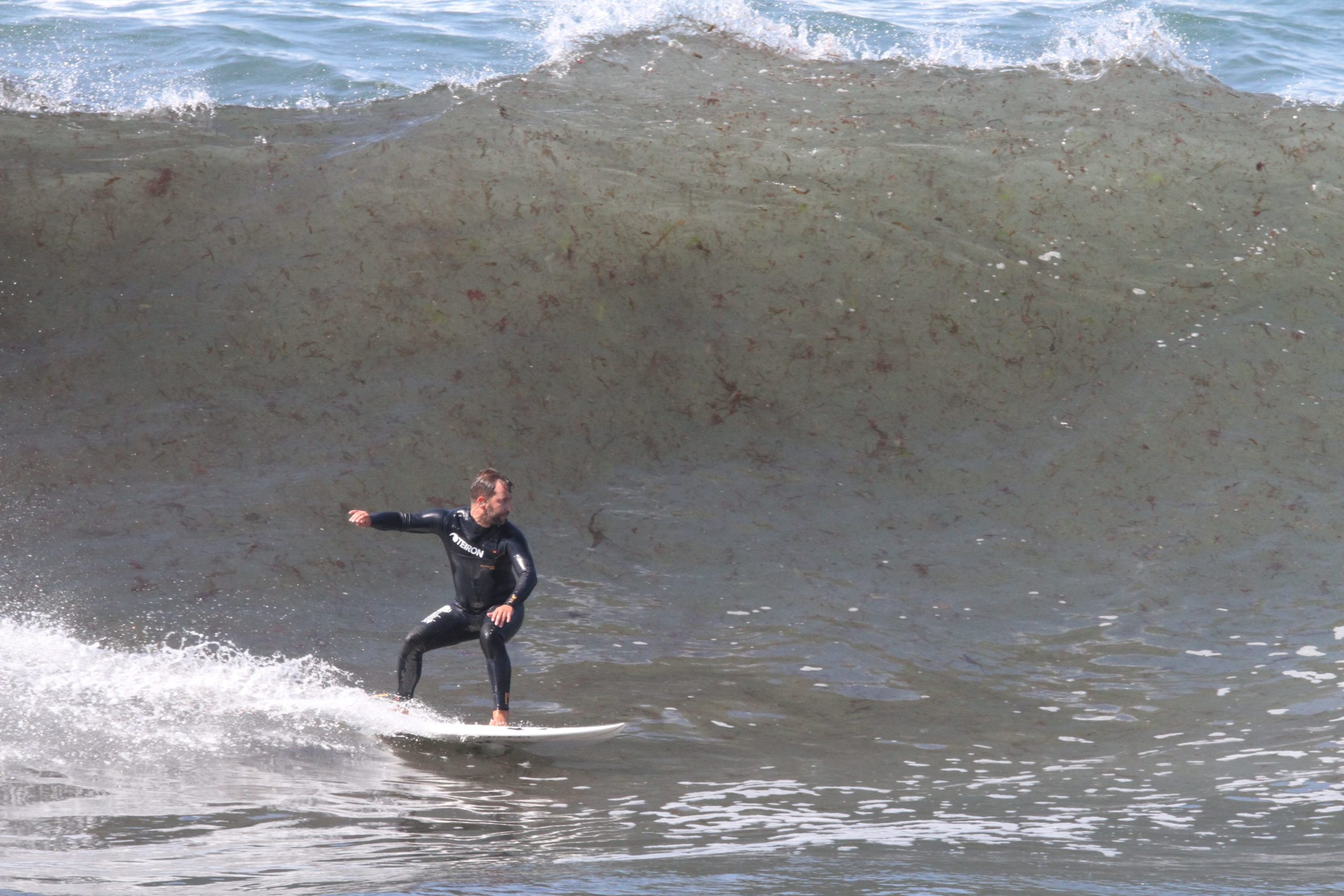 6 Motivos Que Harán Que Empiezas a Practicar Surf Desde Ya